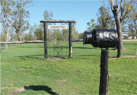 lemontree dairy farm entrance